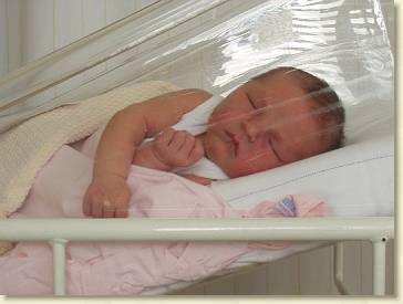 20040918-01 In zijn ZH-wiegje